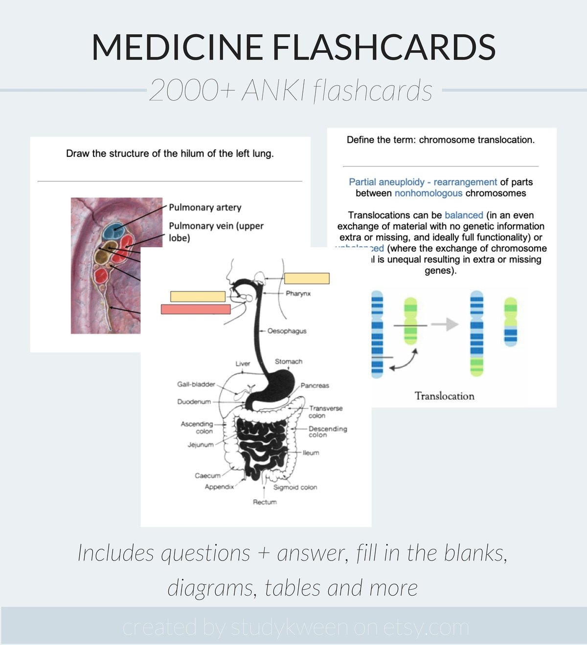 Exploring Free and Paid AnkiHub Alternatives for MCAT Flashcard Study